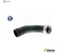 VAICO V10-2699 Charger intake hose