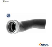 VAICO V10-2834 Charger intake hose