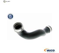 VAICO V30-1780 Charger intake hose