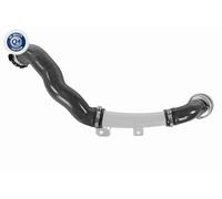 Charge Air Hose VAICO V46-1494 for DACIA DOKKER Box Body/MPV 1.3 2019-2021