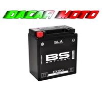 BS Battery SLA Battery Maintenance Free Factory Activated - BTX20CH