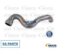 Charger Air Hose for AUDI 100 C4 Avant A4 A6 CABRIOLET VAICO V10-2912 fits Lower