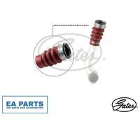 Charger Air Hose for BMW E90 E93 E92 E91 GATES 09-0729