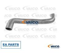 Charger Air Hose for CITROËN DISPATCH EVASION VAICO V42-0620