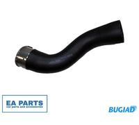 Charger Air Hose for DACIA DOKKER LOGAN MCV SANDERO BUGIAD 81745 fits Upper