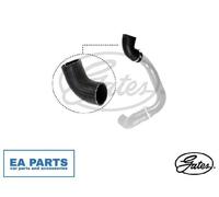Charger Air Hose for FIAT STILO GATES 09-0499