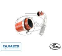 Charger Air Hose for FORD C-MAX ESCAPE FOCUS GALAXY GATES 09-0658