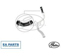 Charger Air Hose for FORD C-MAX FOCUS GATES 09-0661