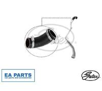 GATES 09-0637 Charger intake hose
