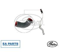 Charger Air Hose for FORD GALAXY MONDEO S-MAX GATES 09-0659