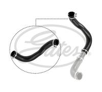 Gates Charge Air Hose 09-0621 for Ford Transit/Tourneo Bus & Van 2.4L Neoprene