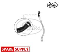 CHARGER AIR HOSE FOR FORD TRANSIT GATES 09-0614