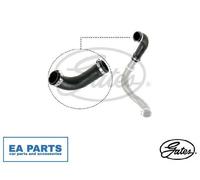 Charger Air Hose for FORD TRANSIT GATES 09-0620