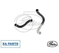Charger Air Hose for FORD TRANSIT GATES 09-0621