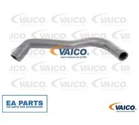 Charger Air Hose for FORD TRANSIT VAICO V25-0943