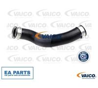 Charger Air Hose for MERCEDES-BENZ B904 B905 VAICO V30-2720