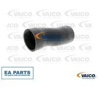 Charger Air Hose for MERCEDES-BENZ B906 VAICO V30-2247