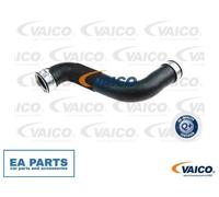 Charger Air Hose for MERCEDES-BENZ W211 VAICO V30-2724