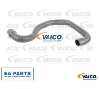 Charger Air Hose for OPEL VIVARO A VAICO V46-0846 fits Charge Air Cooler, Right