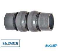 BUGIAD 88715 Charger intake hose