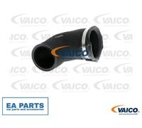 Charger Air Hose for SEAT ALHAMBRA VAICO V10-2858