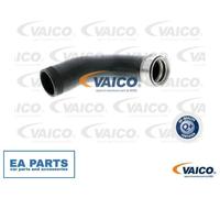 Charger Air Hose for SKODA LAURA OCTAVIA SUPERB VAICO V10-2699