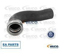 Charger Air Hose for VW BORA CADDY GOLF PASSAT VAICO V10-2699