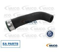 Charger Air Hose for VW BORA GOLF VAICO V10-2703
