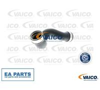 Charger Air Hose for VW CARAVELLE T5 Bus VAICO V10-2902