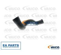 Charger Air Hose for VW PASSAT VAICO V10-3141 fits Upper Right