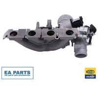 Charger, charging (supercharged/turbocharged) MAGNETI MARELLI 807101005800