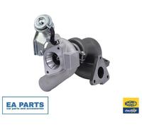 Charger, charging (supercharged/turbocharged) MAGNETI MARELLI 807101006800