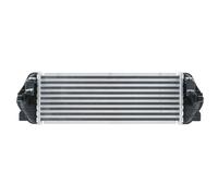 Charger Intercooler HELLA Fits FORD Tourneo Connect Transit 02-13 1406195