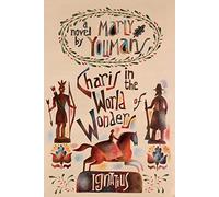 Charis in the World of Wonders: A Novel Set in Puritan New England