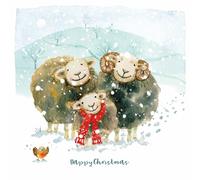 Charity Christmas Card Pack - Huddling Herdwicks