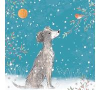 Charity Christmas Card Pack - Pup & Robin