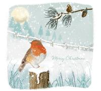 Charity Christmas Card Pack - Robin In Snow