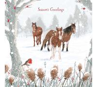 Charity Christmas Card Pack - Winter Friends
