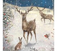 Charity Christmas Card Pack - Woodland Friends
