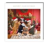 Charity Christmas Cards 5 Pack Cat Conga - Rainbow Trust Xmas Funny Cards
