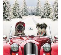 Charity Christmas Cards Box of 20 - Festive Driving Dogs - 10 Cards Each of 2 Designs - Made in the UK - Eco-Friendly