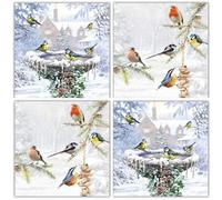 Charity Christmas Cards - British Birds, Robin and Bluetit - 'Winter Birdbath and Winter Feeder' - Eco-Friendly and Recyclable - Box of 20, 10 Each of 2 Designs - By the Almanac Gallery