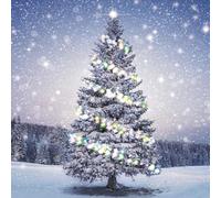 Charity Christmas Cards - Festive Christmas Tree in the Snow - Eco-Friendly and Recyclable - Pack of 10 Cards - By The Great British Card Company