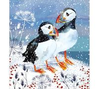Charity Christmas Cards Pack of 5 - Age UK, Marie Curie, BHF, Mind - Artistic Wintry Design - Puffins in the Snow - Made in the UK - Eco-Friendly