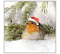 Charity Christmas Cards Pack of 6 - Premium Festive Christmas Greeting Cards with Envelopes - Robin in the Snow - Marie Curie, Parkinsons, Oxfam, British Heart, Stroke and NSPCC - Eco-Friendly