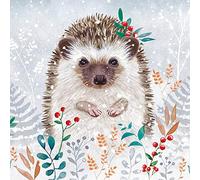 Charity Christmas Cards - Snowy Hedgehog in Winter Flowers and Foliage - Eco-Friendly - Pack of 8 Cards - By Museums and Galleries