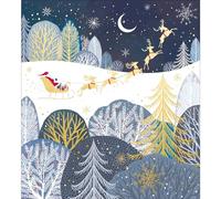 Charity Christmas Cards - Supporting Age UK, British Heart Foundation, Marie Curie and Mind - Pack of 5 - Father Christmas Starry Night - Special Finish - Made in the UK - Eco-Friendly