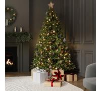 Charles Bentley Luxury 6ft Pre-Lit Faux Nordic Spruce Hinged Christmas Tree in Green Charles Bentley Green