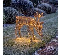 Charles Bentley Rattan Light Up Reindeer LED Christmas Decor, Medium, White