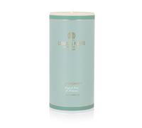 Charles Farris The Orchard Luxury Scented Pillar Candles - 75+ Hours Burn Time (Pear, Jasmine & Freesia)